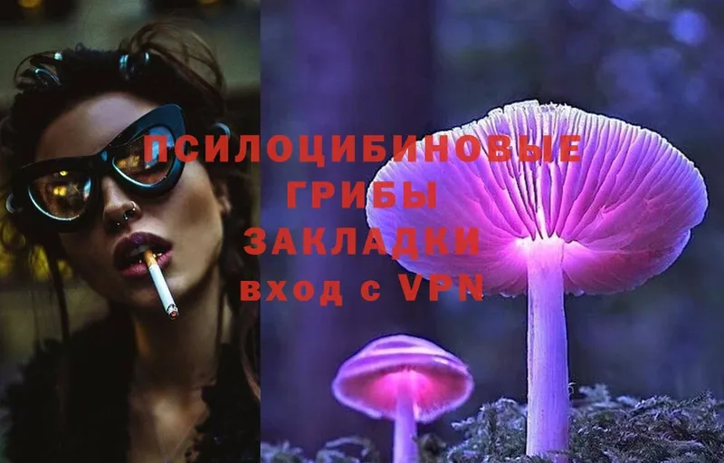 Псилоцибиновые грибы MAGIC MUSHROOMS  закладка  Аркадак 